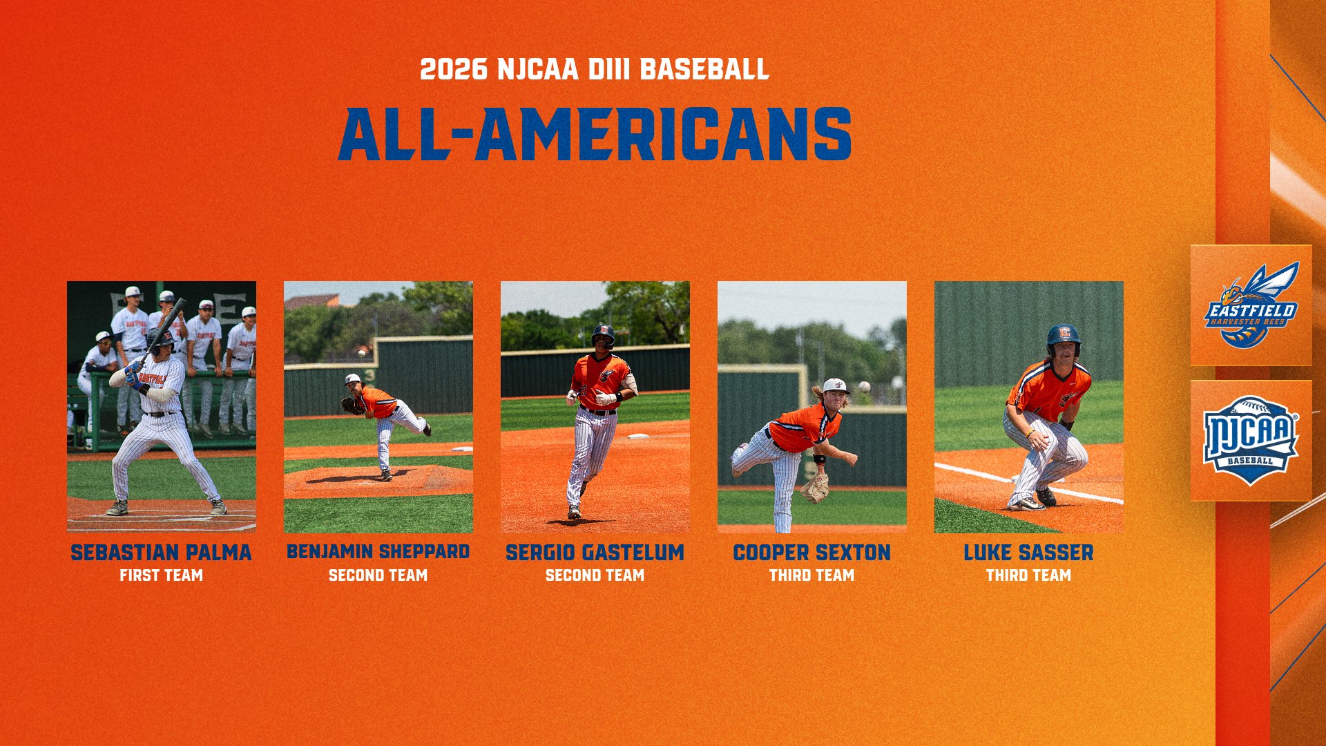 Bees Collect Five All-America Honors