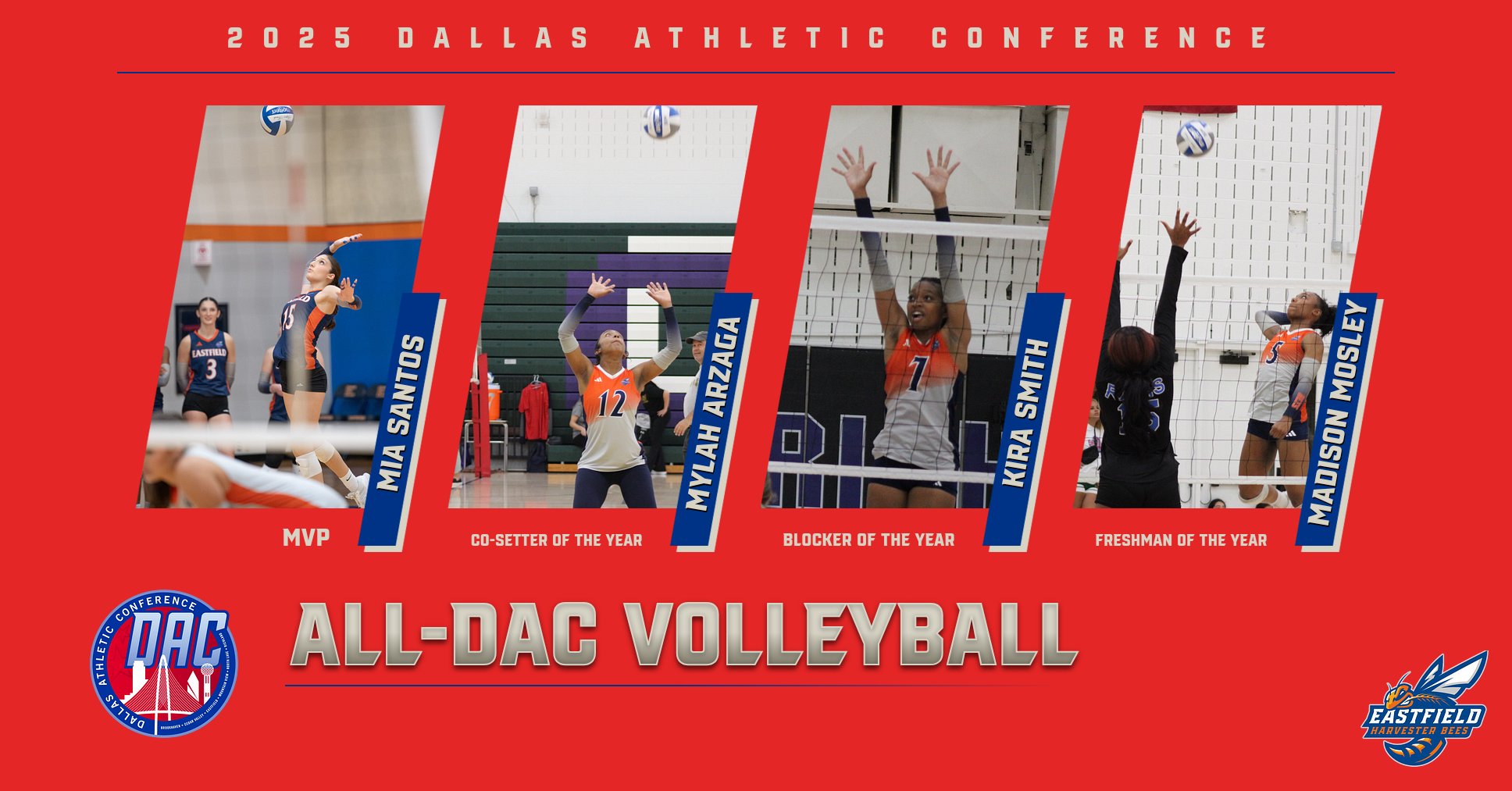 Harvester Bees Earn 11 All-DAC Honors