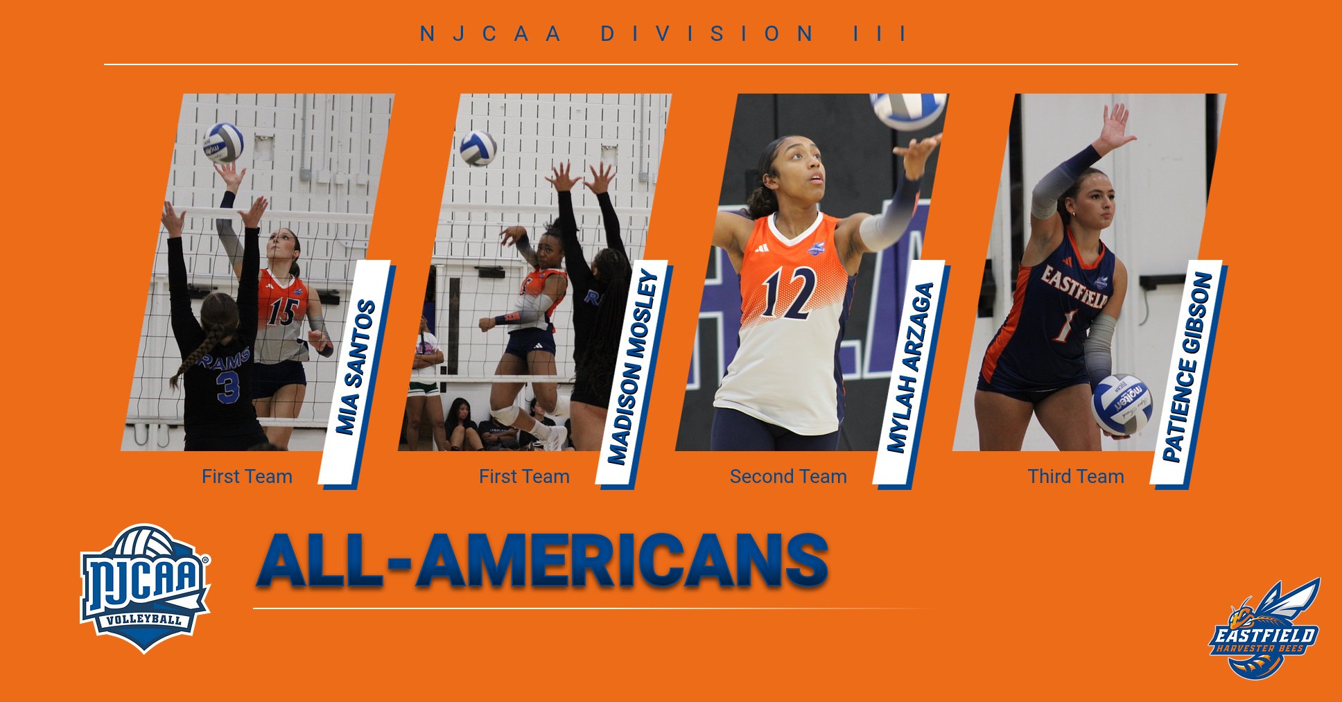 Four Bees Earn All-America Honors